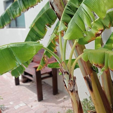 The Pool Cottage 钓鱼镇 外观 照片