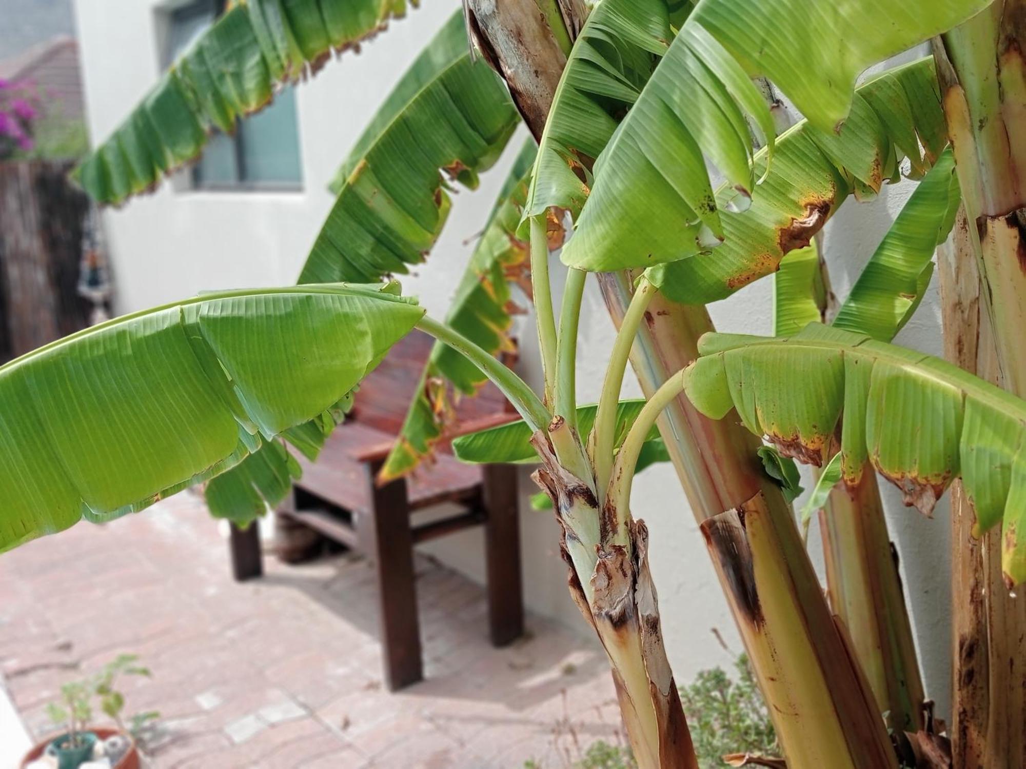 The Pool Cottage 钓鱼镇 外观 照片